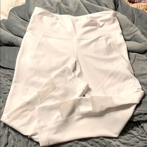 90 Degree By Reflex Prove Them Wrong Capri